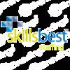 skills best
